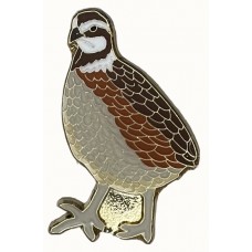 Quail, Northern Bobwhite