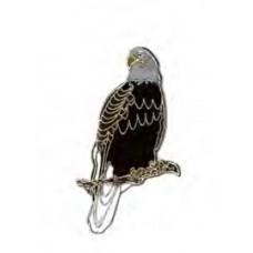 Eagle, Bald (perched) pin