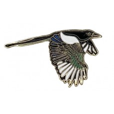 Magpie, Black-billed pin