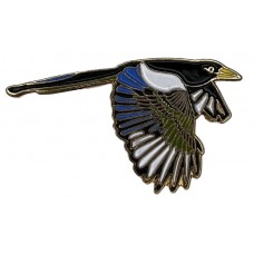 Magpie, Yellow-billed