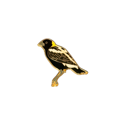 Bobolink