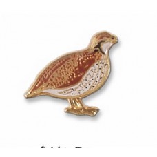 Quail, Northern Bobwhite
