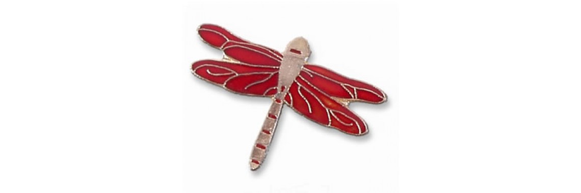Red skimmer dragonfly