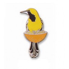 Oriole, Hooded (on an orange) pin