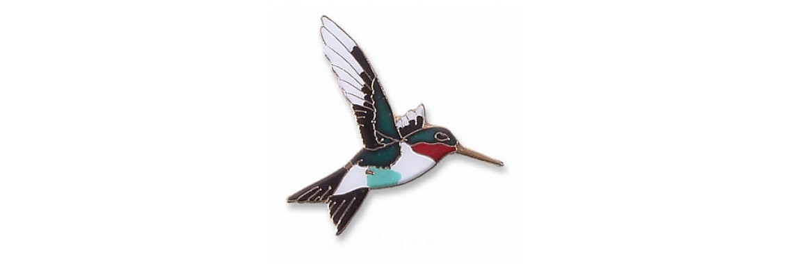 Ruby-throated-Hummingbird
