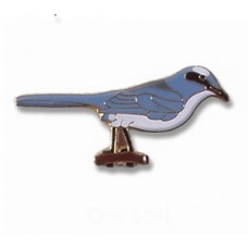 Jay, Florida Scrub pin