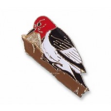 Woodpecker, Red-headed