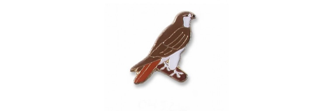 Redtail Hawk