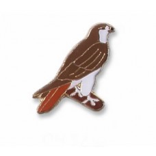 Hawk, Red-tailed pin