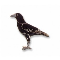 Crow, Northwestern pin