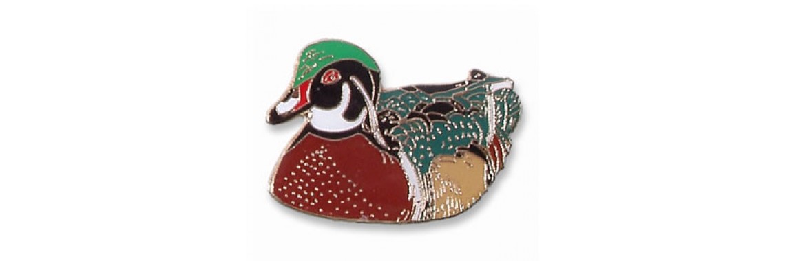 Wood Duck