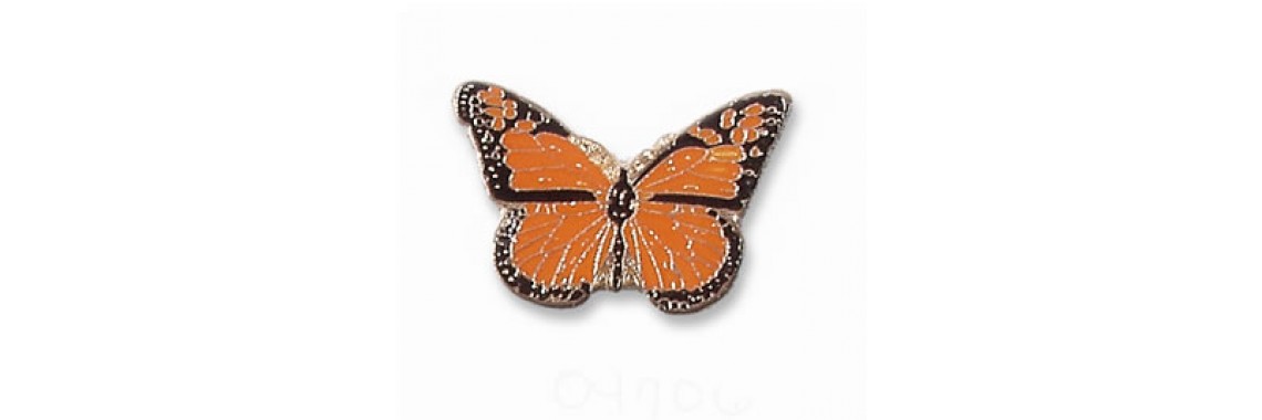 Monarch Butterfly